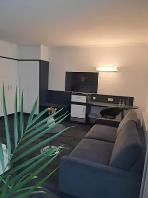 TV/Unterhaltungsangebot in der Unterkunft Hotel & Apart4you