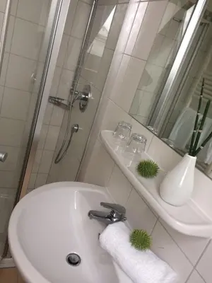 Ein Badezimmer in der Unterkunft Landgasthof & Landhotel Wild