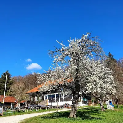 Naturlandschaft in der Nähe der Pension
