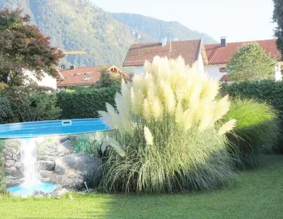 Der Swimmingpool an oder in der Nähe von Steffl Martina