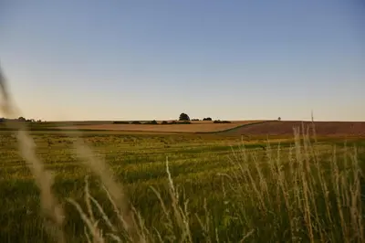 Naturlandschaft in der Nähe des Hotels