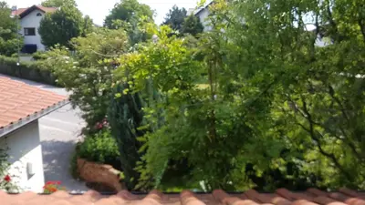 Ein Garten an der Unterkunft Gastezimmer Nahe Wesslinger See