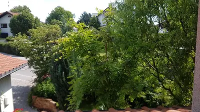 Ein Garten an der Unterkunft Gastezimmer Nahe Wesslinger See