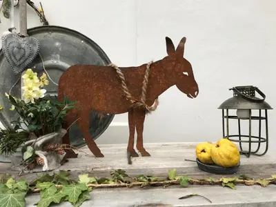 Tiere in der Ferienwohnung oder in der Nähe