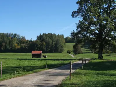 Naturlandschaft in der Nähe der Ferienwohnung