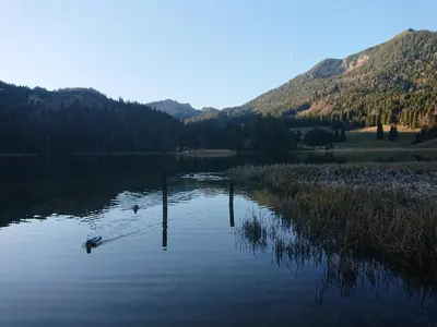 Naturlandschaft in der Nähe der Ferienwohnung