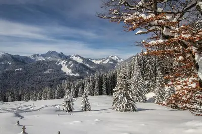Naturlandschaft in der Nähe des Hotels