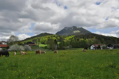 Naturlandschaft in der Nähe des Hotels