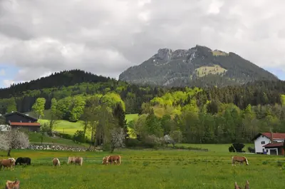 Naturlandschaft in der Nähe des Hotels