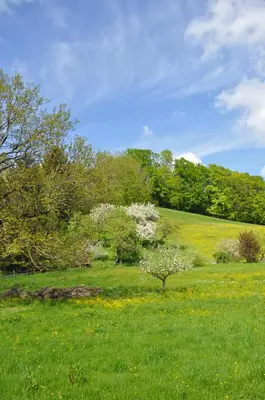 Naturlandschaft in der Nähe des Hotels