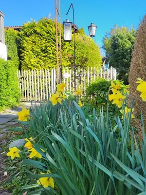 Ein Garten an der Unterkunft graublau