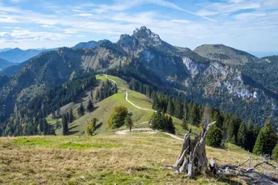 Naturlandschaft in der Nähe der Ferienwohnung