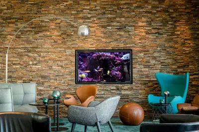 TV/Unterhaltungsangebot in der Unterkunft Motel One München-Garching