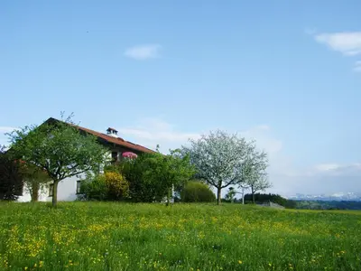 Naturlandschaft in der Nähe der Ferienwohnung