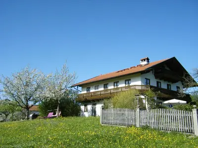 Ein Garten an der Unterkunft Pichler Roswitha