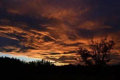 Blick auf den Sonnenuntergang/Sonnenaufgang von der Ferienwohnung aus oder aus der Nähe