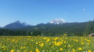 Naturlandschaft in der Nähe der Ferienwohnung