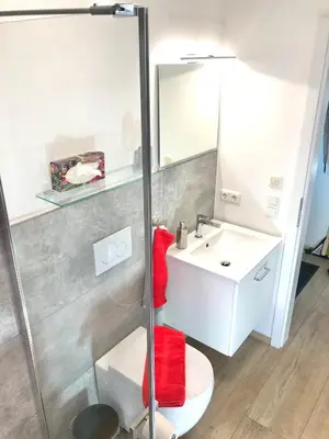 Ein Badezimmer in der Unterkunft Wolfˋs Apartment