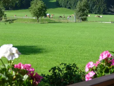 Ein Garten an der Unterkunft Ferienwohnung Edmeier