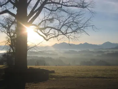 Naturlandschaft in der Nähe der Ferienwohnung