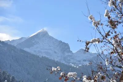 Grundriss der Unterkunft Alpenheim
