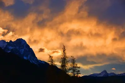 Grundriss der Unterkunft Alpenheim