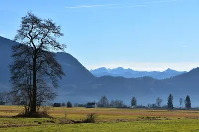 Grundriss der Unterkunft Alpenheim