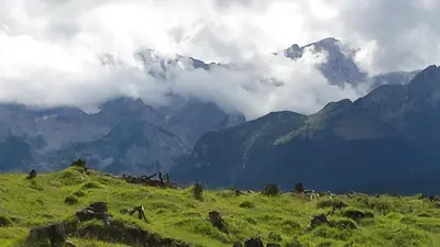 Grundriss der Unterkunft Alpenheim