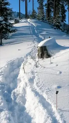 Hörnlestubn im Winter