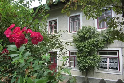 Ein Garten an der Unterkunft Alte Wirtschaft