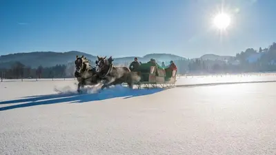 LandererMühle im Winter