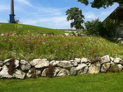 Ein Garten an der Unterkunft Landgasthof Fischbach
