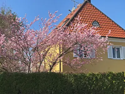 Ein Garten an der Unterkunft Lion Homestay Munich