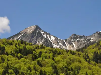 Naturlandschaft in der Nähe der Ferienwohnung
