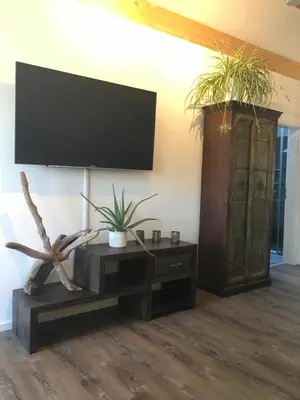 TV/Unterhaltungsangebot in der Unterkunft Shania Residence