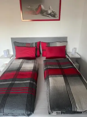 Ein Bett oder Betten in einem Zimmer der Unterkunft Modern Apartment
