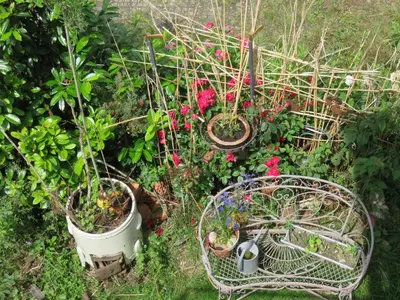 Ein Garten an der Unterkunft helles Dachstudio