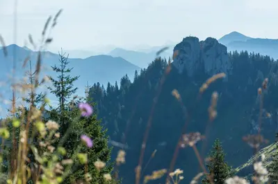 Naturlandschaft in der Nähe des Hotels