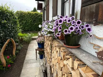 Ein Garten an der Unterkunft Ferienwohnung Sachrang