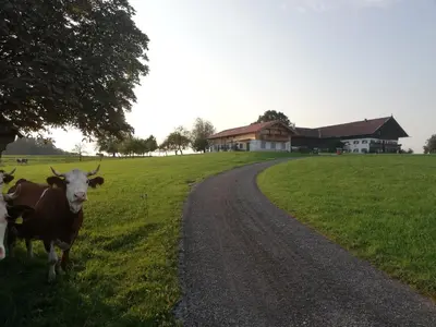 Tiere in der Ferienwohnung oder in der Nähe