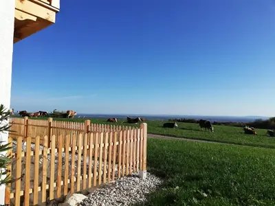 Naturlandschaft in der Nähe der Ferienwohnung