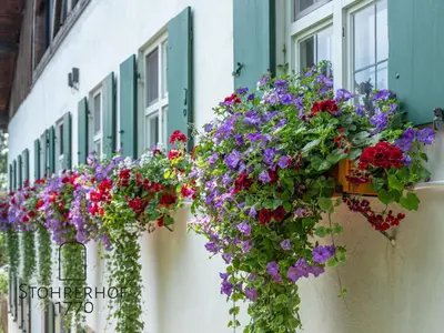 Ein Garten an der Unterkunft 5 Sterne Ferienhaus Gut Stohrerhof am Ammersee in Bayern bis 11 Personen