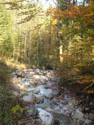 Naturlandschaft in der Nähe des Bauernhofs