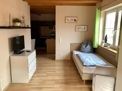 TV/Unterhaltungsangebot in der Unterkunft Scheilhof