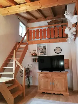 TV/Unterhaltungsangebot in der Unterkunft City Apartment
