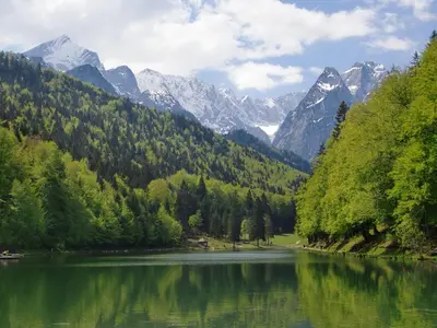 Naturlandschaft in der Nähe der Ferienwohnung