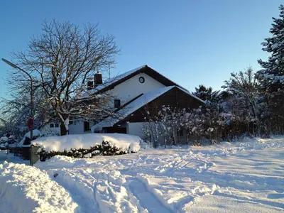 An den Isarauen im Winter