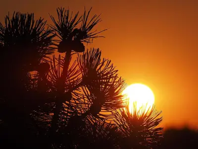 Blick auf den Sonnenuntergang/Sonnenaufgang von des Hotels aus oder aus der Nähe