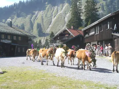 Tiere im Hotel oder in der Nähe