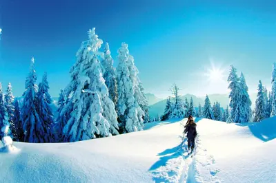 Mammhofer Suite & Breakfast im Winter